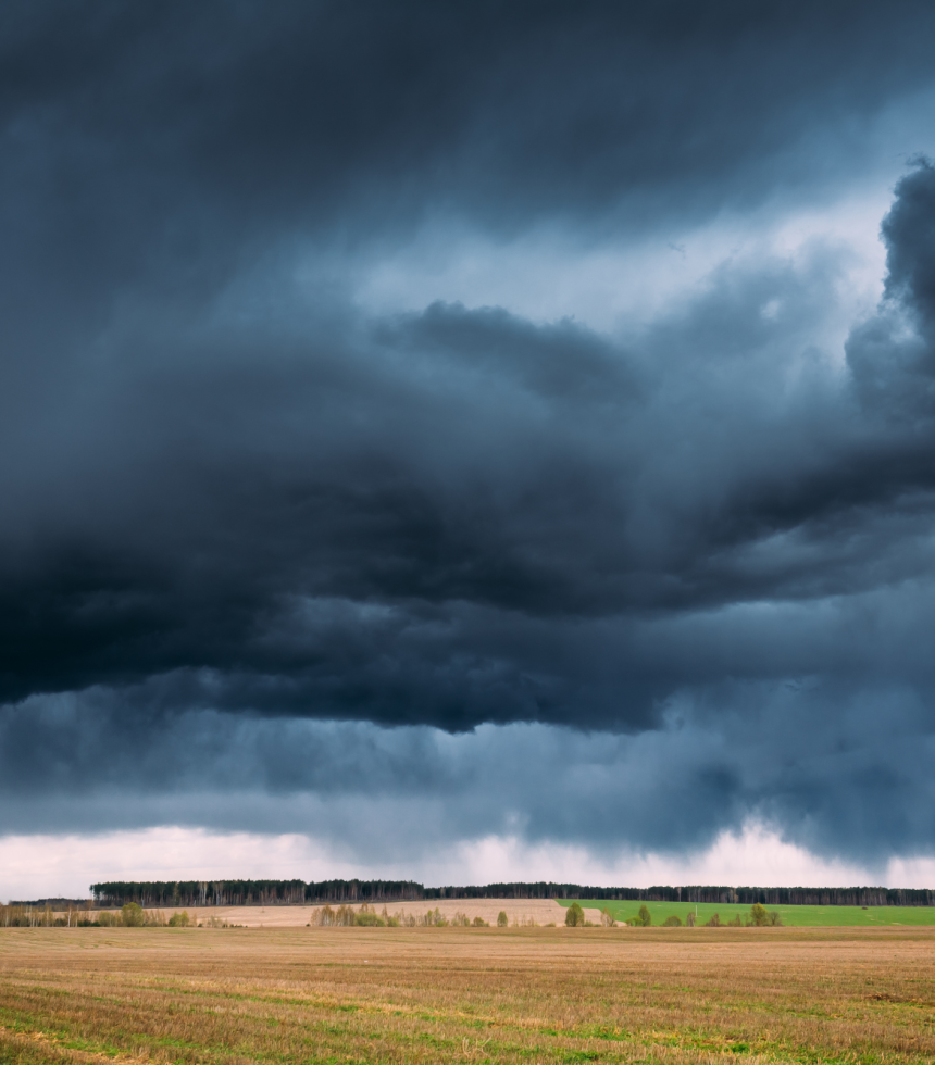 Design sem nome (12)