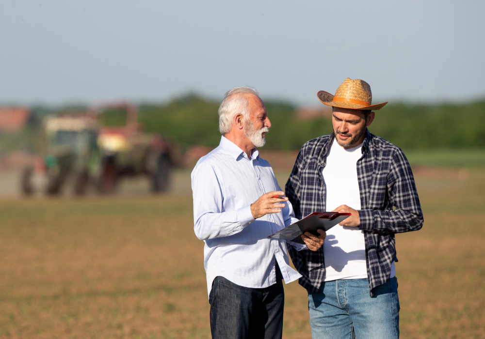 Design sem nome (13)